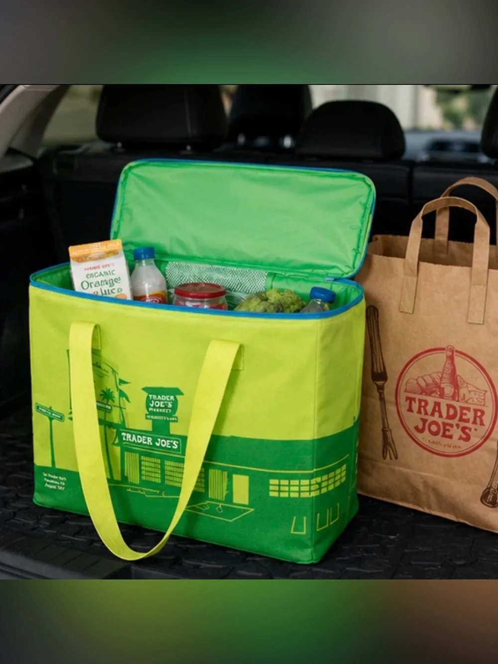 Trader Joe's 8 Gallons Reusable  Bag Cooler Large Insulated Tote Lime Green